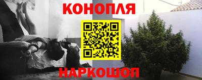 спиды Тара