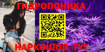 спиды Тара