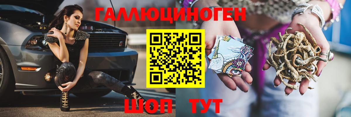 Псилоцибиновые грибы Psilocybe  Вход с VPN  Лосино-Петровский 